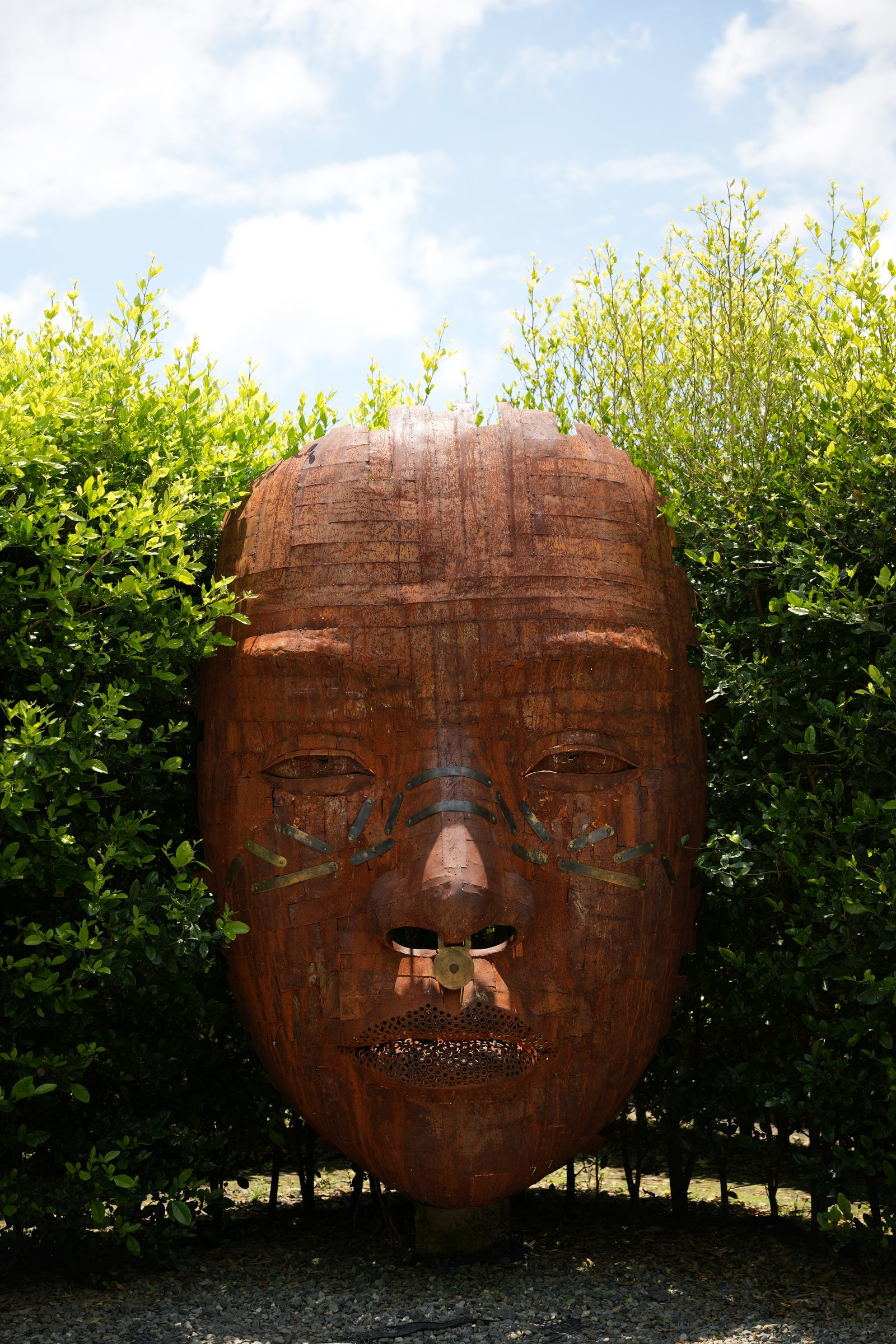 Ima: Madre y Micelio